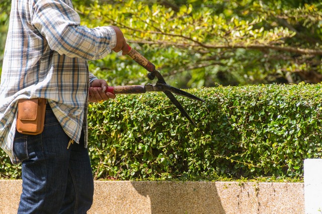 Garden Maintenance Orpington, Chelsfield, Downe, BR6
